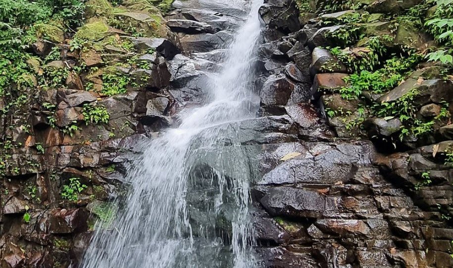 Enbas Saut Falls Trail, Edmund Forest Reserve, Central St. Lucia, Saint Lucia
